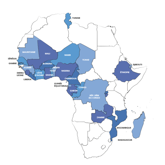 Réseau Afrique : Tunisie, Niger, Burkina Fasso, Tchad, Djibouti, Ethiopie, Rwanda, République démocratique du Congo, Madagascar, Mozambique, Zambie, Congo, Gabon, Guinée équatoriale, Cameroun, Nigeria, Benin, Togo, Ghana, Cote d’Ivoire, Liberia, Sierra leone, Guinée, Sénégal, Gambie, Mauritanie, Mali, Burkina Fasso