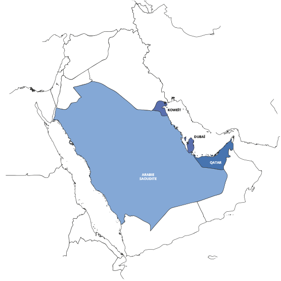 Réseau Moyen Orient : rabie Saoudite, Dubaï, Qatar, Koweït